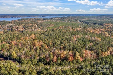 Lake Acreage For Sale in Ridgeway, South Carolina