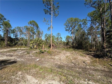 Lehigh Acres Area Lot For Sale in Lehigh Acres Florida