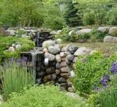 With 225 sites at Cokato Lake and this one located near the lake - photo 7