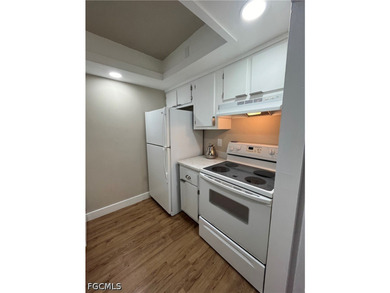 Fantastic opportunity to own a desirable 1st-floor end unit in - photo 11