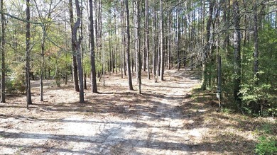 WATERFRONT LOT - HOUSTON COUNTY LAKE! If you're looking for the - photo 11