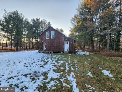 Recreational use wood frame cabin with detached garage and pond - photo 11