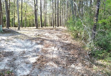 WATERFRONT LOT - HOUSTON COUNTY LAKE! If you're looking for the - photo 12