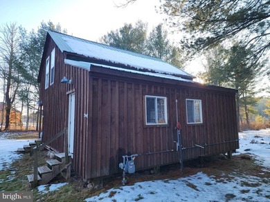 Recreational use wood frame cabin with detached garage and pond - photo 12