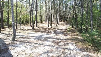 WATERFRONT LOT - HOUSTON COUNTY LAKE! If you're looking for the - photo 13