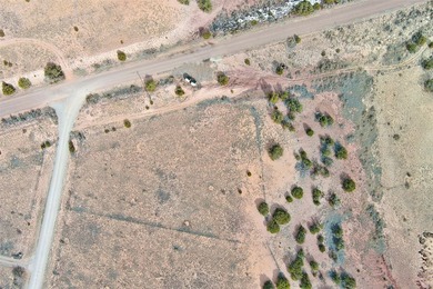 Lot 24 in the Abiquiu Dam subdivision consists of 2.2 acres - photo 13