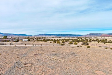 Lot 24 in the Abiquiu Dam subdivision consists of 2.2 acres - photo 15