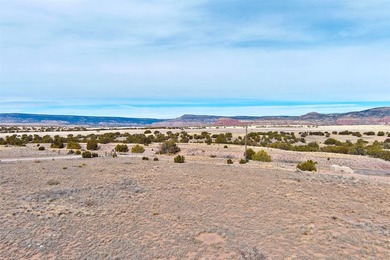 Lot 24 in the Abiquiu Dam subdivision consists of 2.2 acres - photo 16