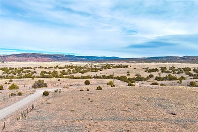 Lot 24 in the Abiquiu Dam subdivision consists of 2.2 acres - photo 17