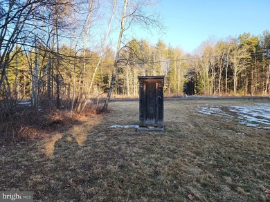 Recreational use wood frame cabin with detached garage and pond - photo 17