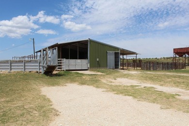 I am pleased to present a premier ranching opportunity located - photo 18