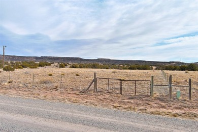 Lot 24 in the Abiquiu Dam subdivision consists of 2.2 acres - photo 18
