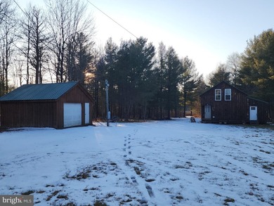 Recreational use wood frame cabin with detached garage and pond - photo 18