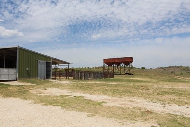 I am pleased to present a premier ranching opportunity located - photo 19