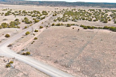 Lot 24 in the Abiquiu Dam subdivision consists of 2.2 acres - photo 19