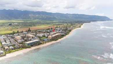 This unit stayed dry during the historic Waialua floods! Steps - photo 20
