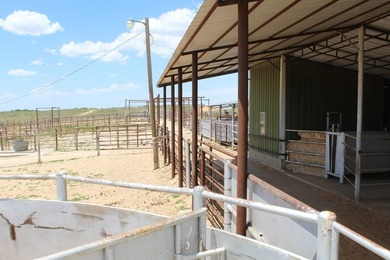 I am pleased to present a premier ranching opportunity located - photo 21