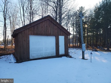 Recreational use wood frame cabin with detached garage and pond - photo 21