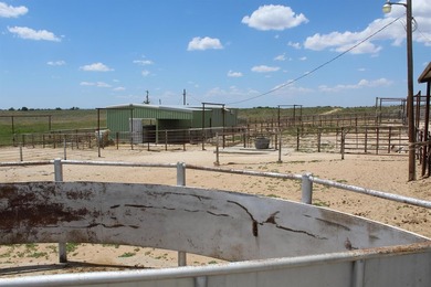 I am pleased to present a premier ranching opportunity located - photo 22