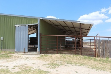 I am pleased to present a premier ranching opportunity located - photo 23