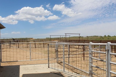 I am pleased to present a premier ranching opportunity located - photo 25