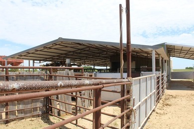 I am pleased to present a premier ranching opportunity located - photo 27