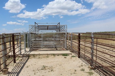 I am pleased to present a premier ranching opportunity located - photo 28