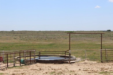 I am pleased to present a premier ranching opportunity located - photo 29