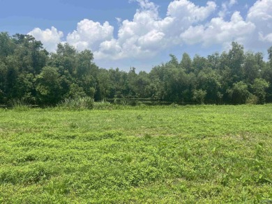 Lake Lot For Sale in Vacherie, Louisiana