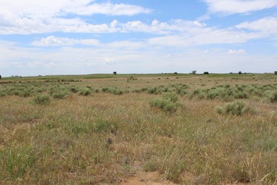 I am pleased to present a premier ranching opportunity located - photo 31