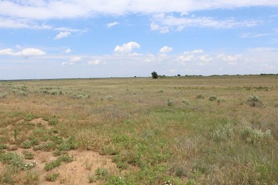 I am pleased to present a premier ranching opportunity located - photo 32