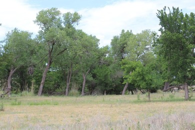I am pleased to present a premier ranching opportunity located - photo 34