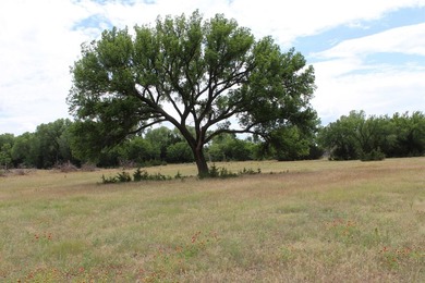 I am pleased to present a premier ranching opportunity located - photo 37