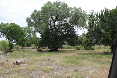 I am pleased to present a premier ranching opportunity located - photo 39