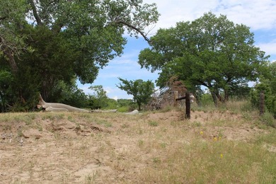 I am pleased to present a premier ranching opportunity located - photo 42