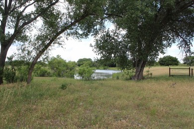 I am pleased to present a premier ranching opportunity located - photo 48