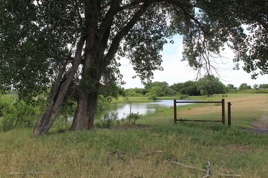 I am pleased to present a premier ranching opportunity located - photo 50