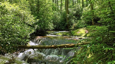 (private lake, pond, coastal) Lot For Sale in Cashiers North Carolina
