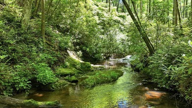 Discover the perfect setting for your mountain retreat in the - photo 2