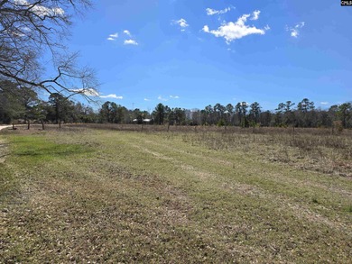 The only available developable tract of land on Gibson Pond. 77 - photo 4
