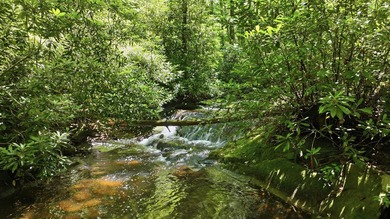 Discover the perfect setting for your mountain retreat in the - photo 4