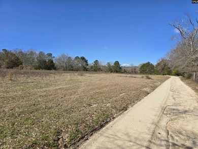 The only available developable tract of land on Gibson Pond. 77 - photo 6