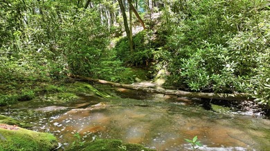 Discover the perfect setting for your mountain retreat in the - photo 7