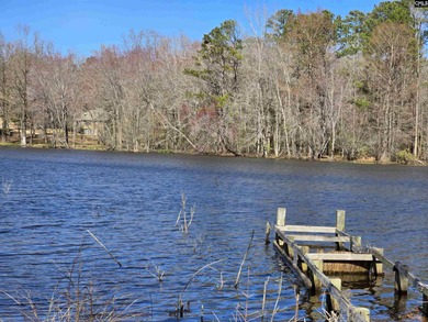 The only available developable tract of land on Gibson Pond. 77 - photo 8