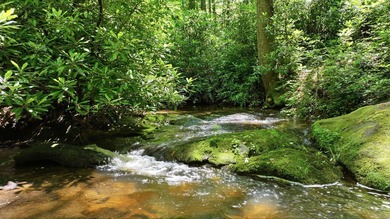 Discover the perfect setting for your mountain retreat in the - photo 8