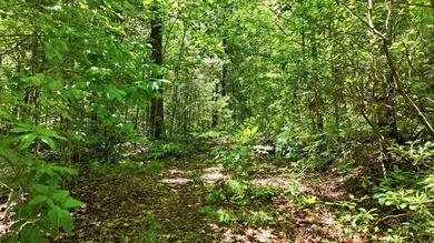 Discover the perfect setting for your mountain retreat in the - photo 10
