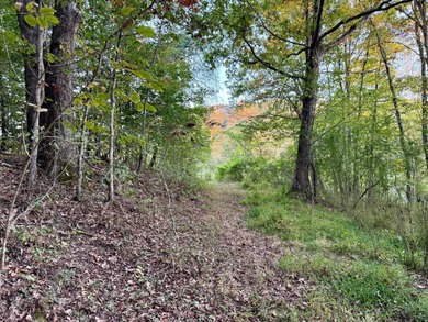 Kentucky River Lot For Sale in Beattyville Kentucky