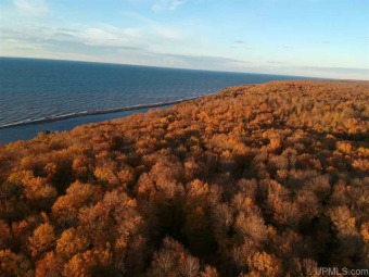 Lake Michigan - Houghton County Acreage For Sale in Atlantic Mine Michigan