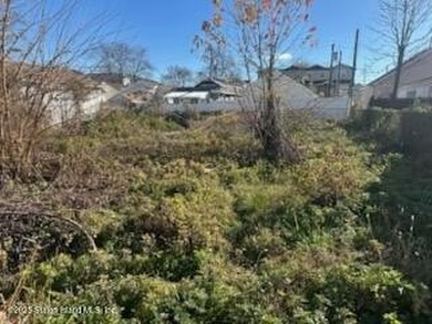 FOR SALE - ONE PRICE FOR THREE LOTS! Located in Midland Beach - photo 4