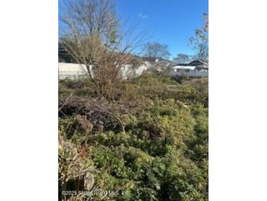 FOR SALE - ONE PRICE FOR THREE LOTS! Located in Midland Beach - photo 5